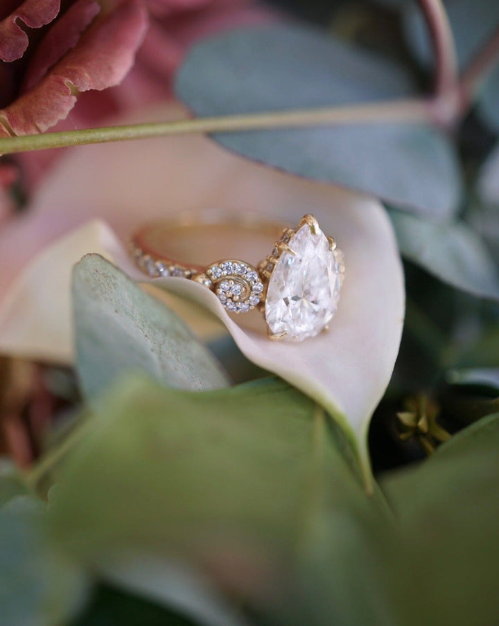 The Coraline | Proposals Bayou with Love