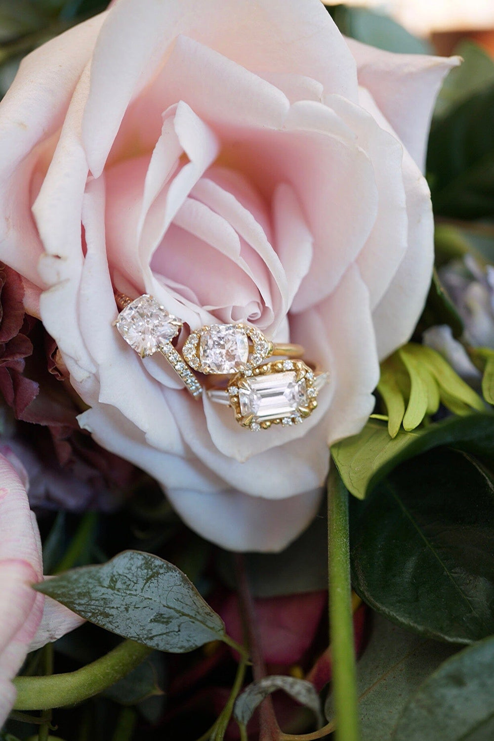 A pink rose with three diamond rings in the petals.