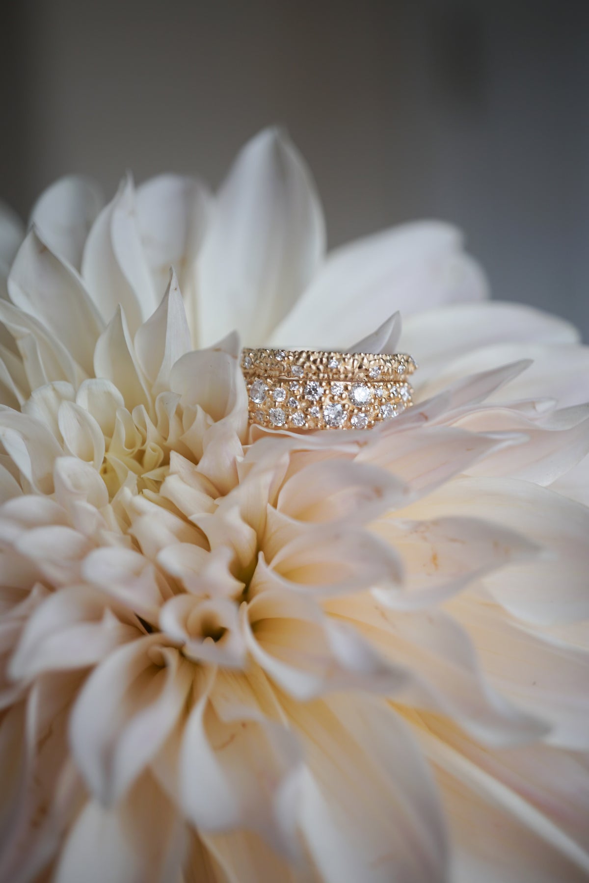 Two rings laid on top of a white blooming flower.