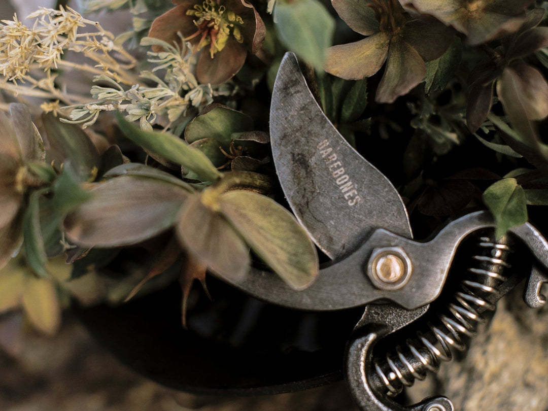 Pruner Home & Garden BAREBONES