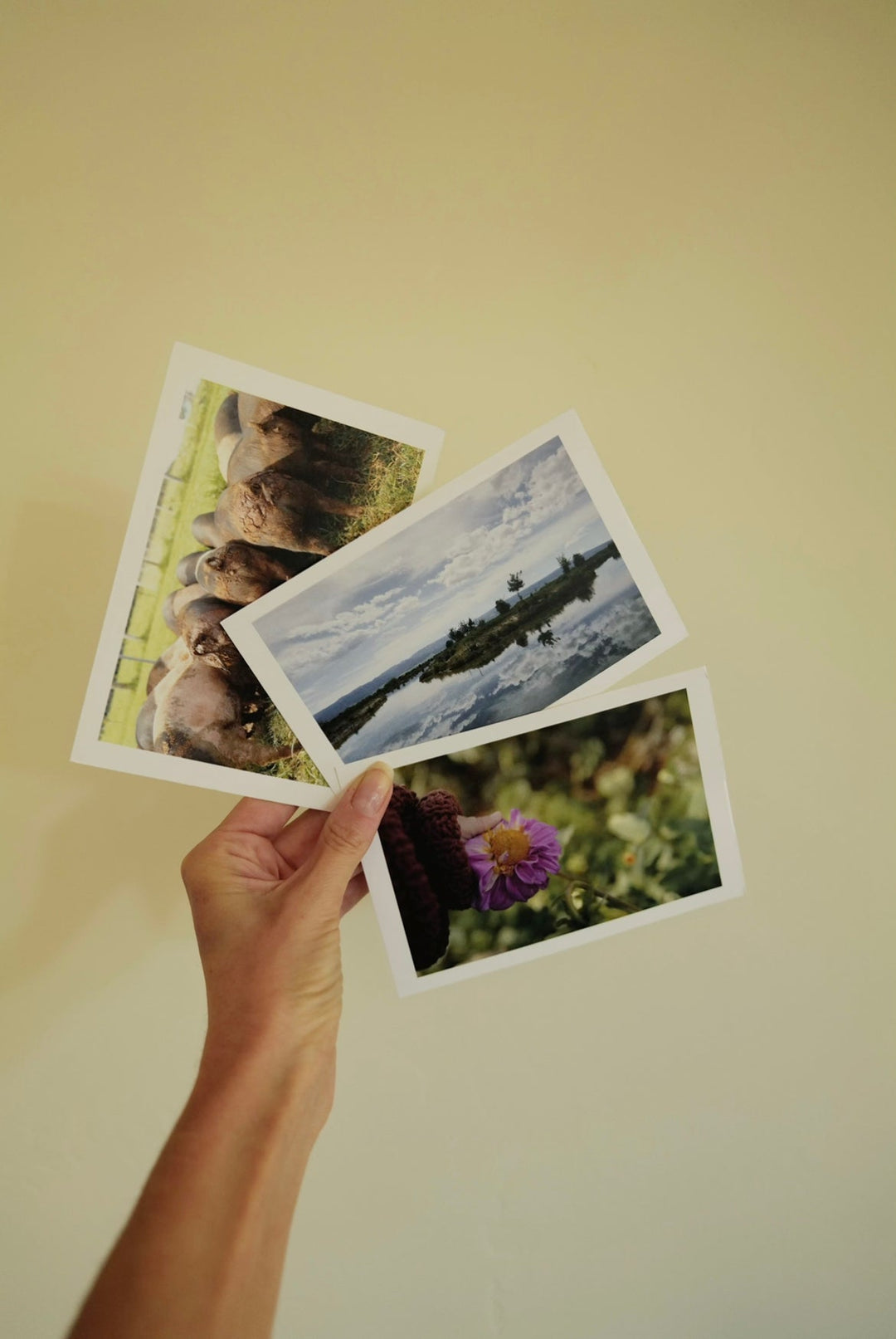 Horizontal Postcard Set Bayou with Love