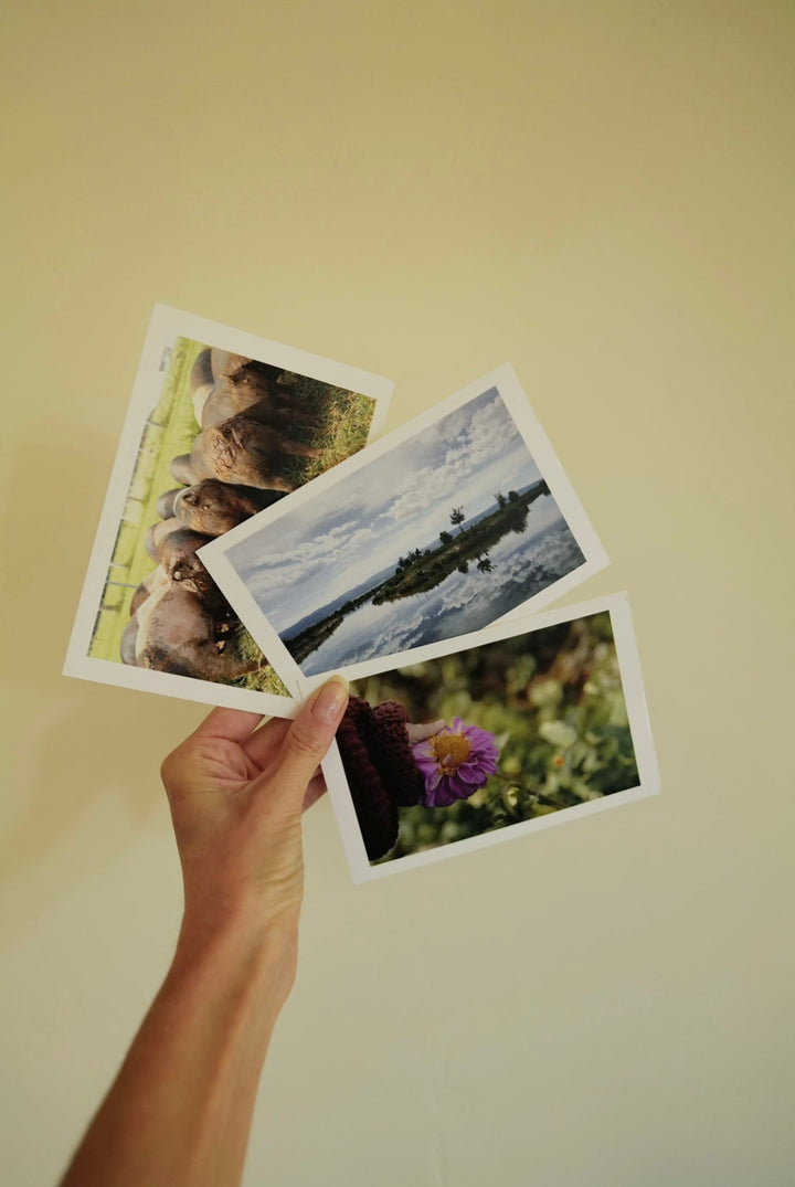 Horizontal Postcard Set Bayou with Love