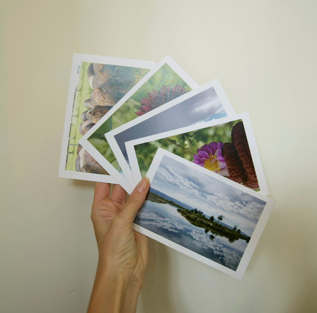 Horizontal Postcard Set Bayou with Love