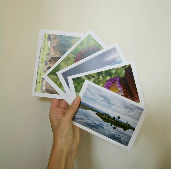 Horizontal Postcard Set Bayou with Love