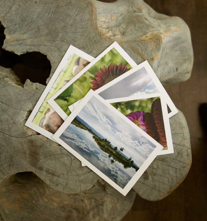 Horizontal Postcard Set Bayou with Love