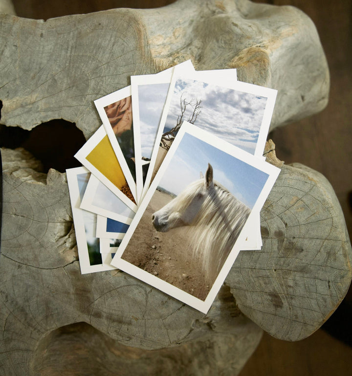 Portrait Postcard Set Bayou with Love