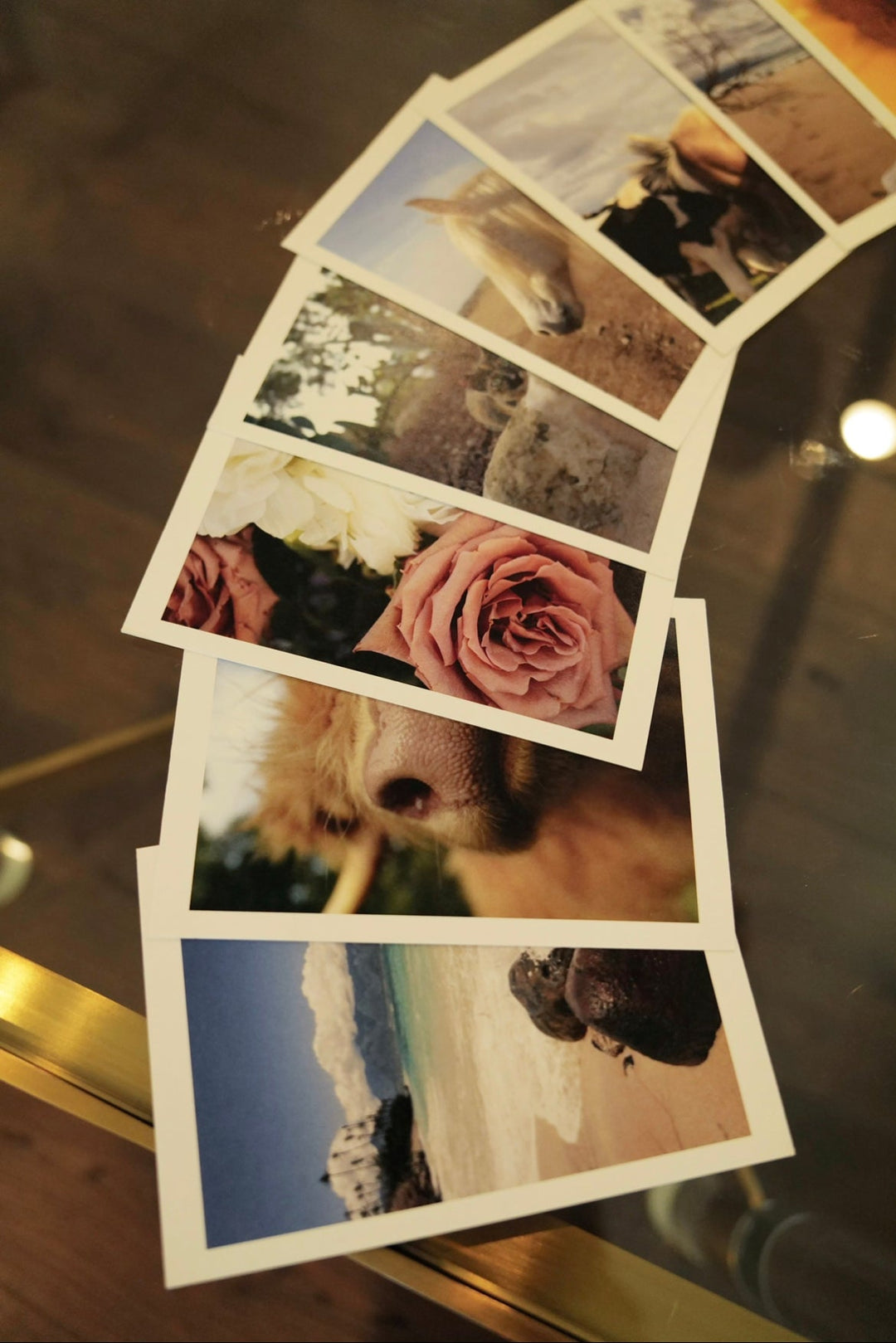 Portrait Postcard Set Bayou with Love