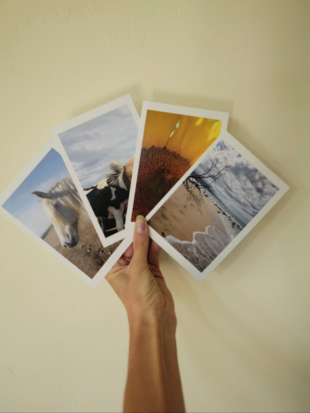 Portrait Postcard Set Bayou with Love