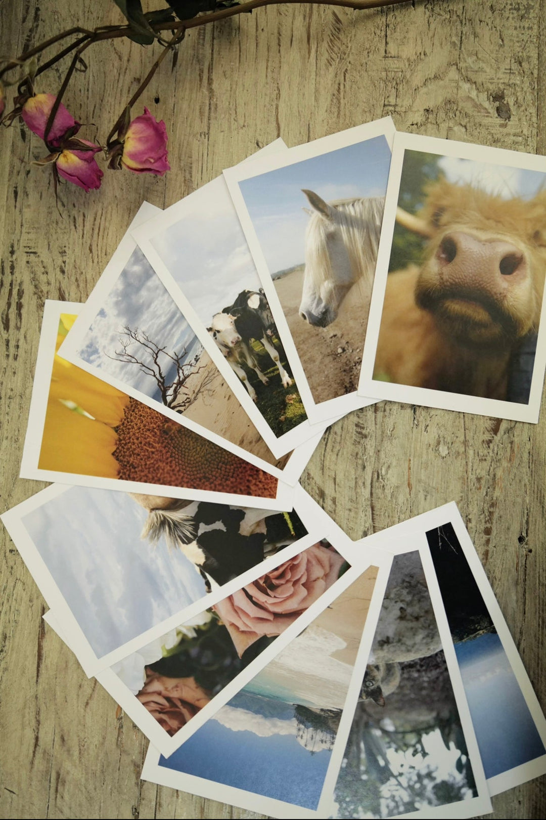 Portrait Postcard Set Bayou with Love