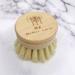 Long Handle Sisal Kitchen Brush- Refill Head Only Home Me Mother Earth 