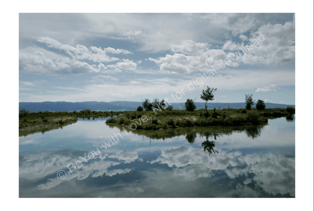Horizontal Postcard Set Bayou with Love