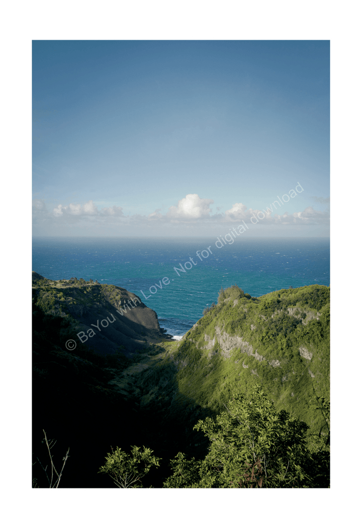 Portrait Postcard Set Bayou with Love