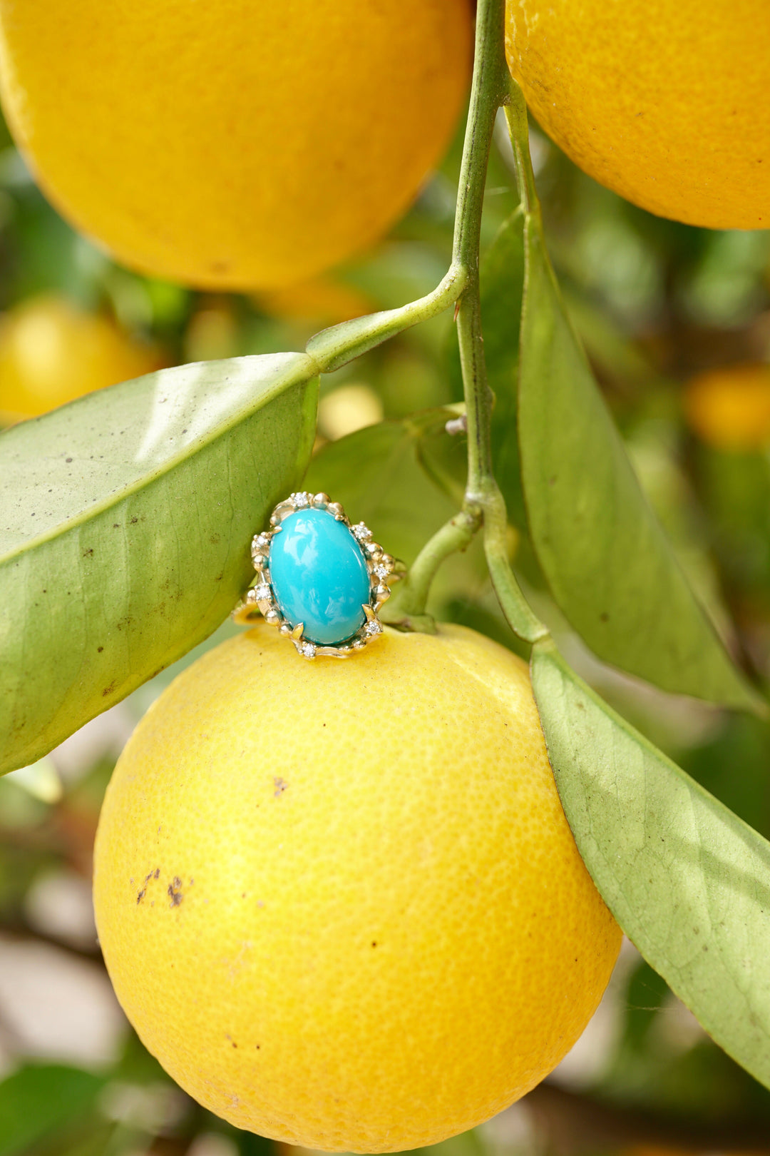 Oval Diamond Ocean Turquoise Water Ring Jewelry Bayou with Love 