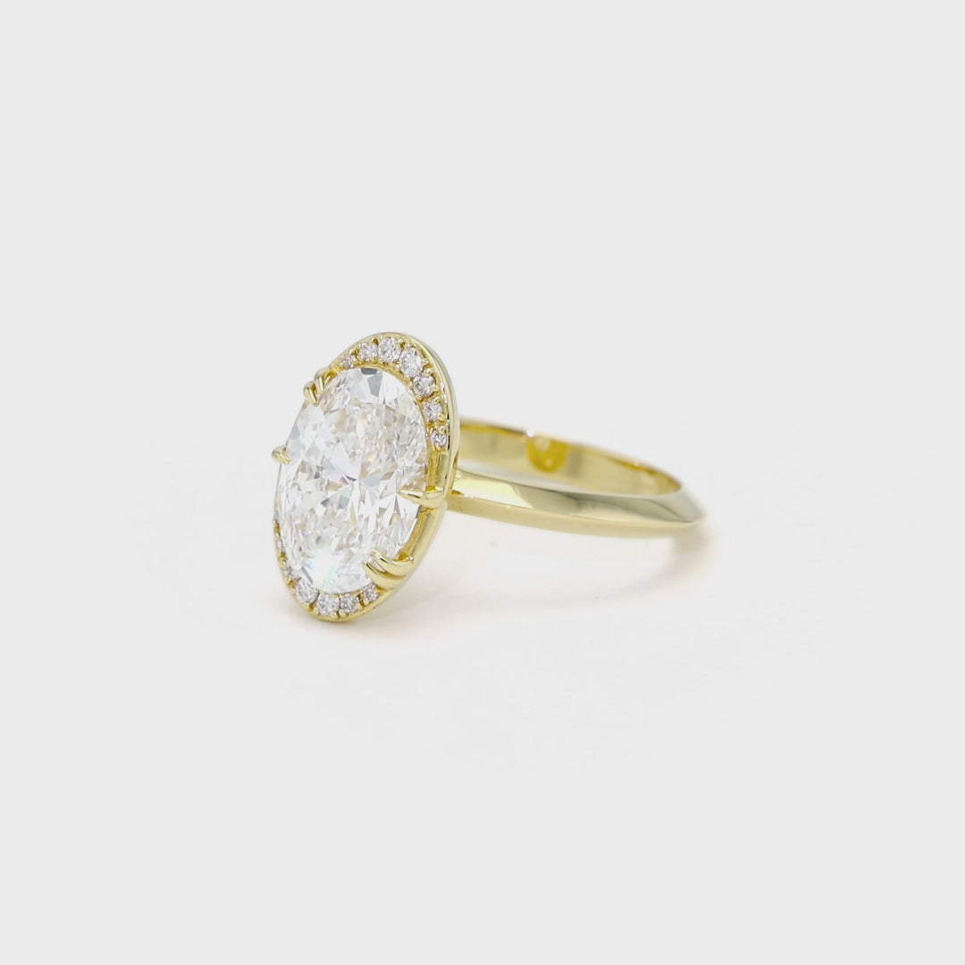 The Selene | Proposals