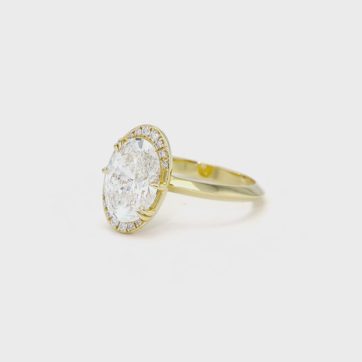 The Selene | Proposals