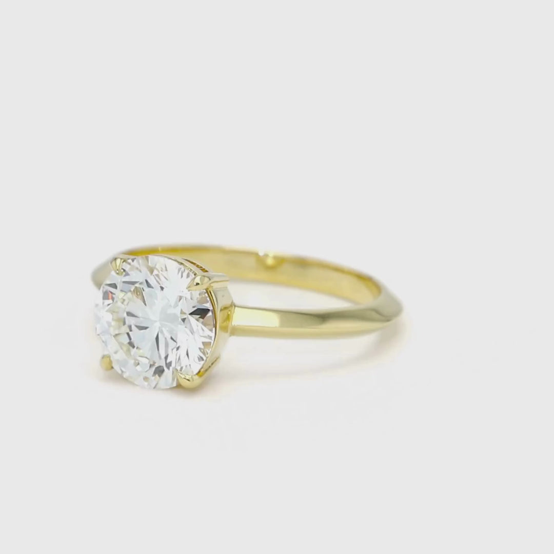 The Amelia | Proposals