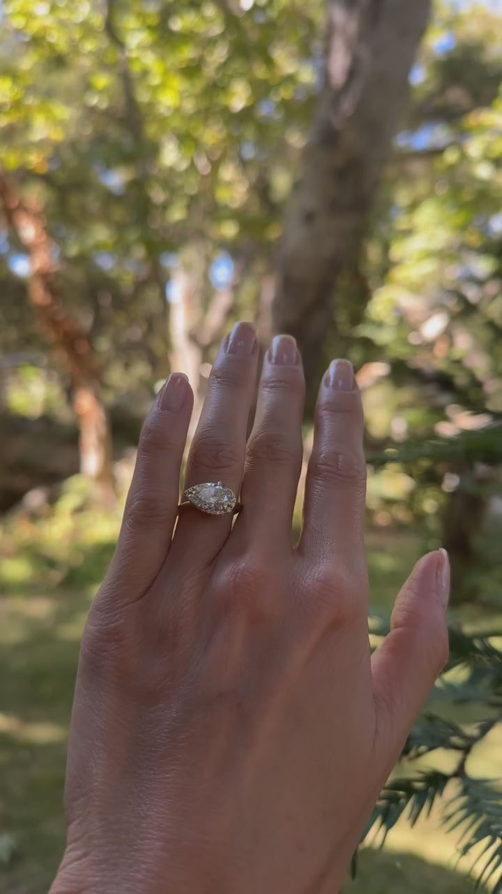 The Juna | Proposals