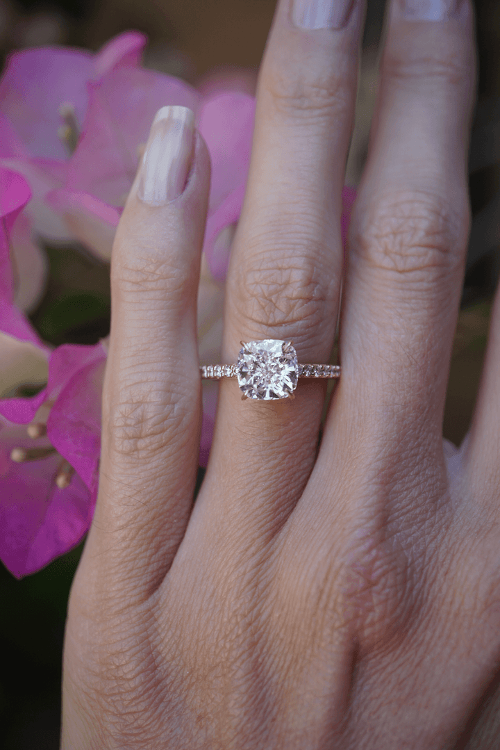 NEW Hidden Halo 1 BYO Bayou with Love 