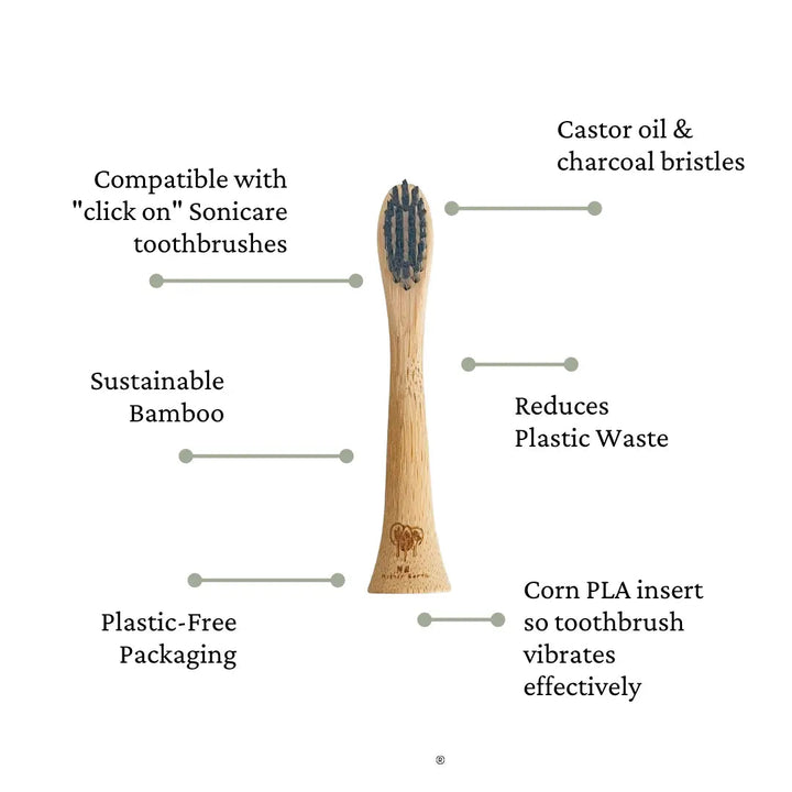 4-Pack Bamboo Electric Toothbrush Heads- Sonicare Compatible Beauty Me Mother Earth 