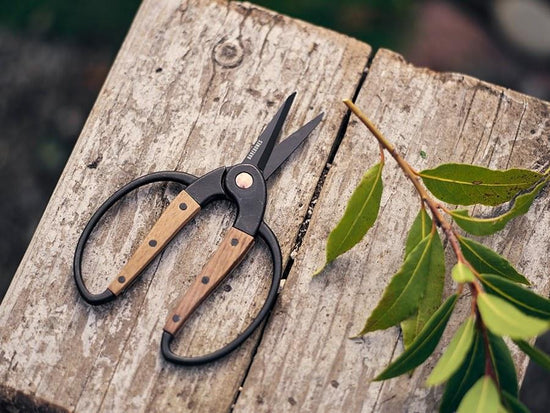 Garden Scissors - Walnut Home & Garden BAREBONES 