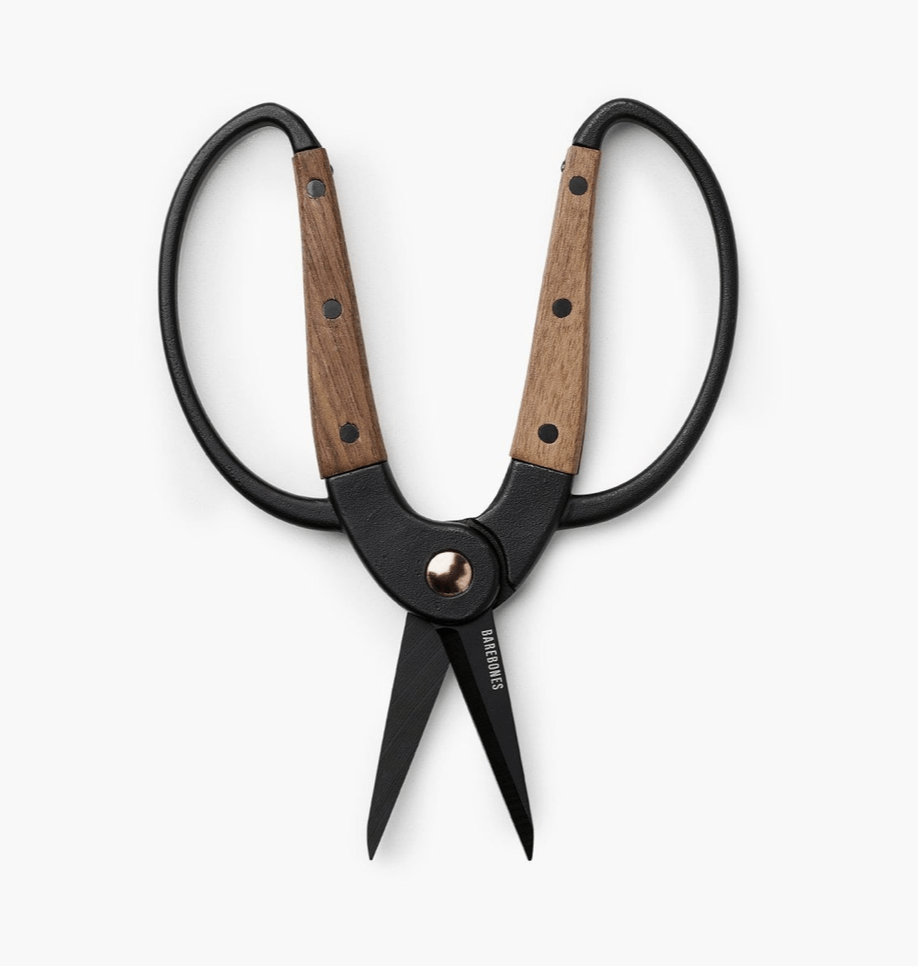 Garden Scissors - Walnut Home & Garden BAREBONES 