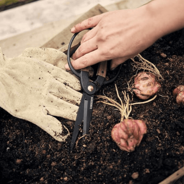 Garden Scissors - Walnut Home & Garden BAREBONES 