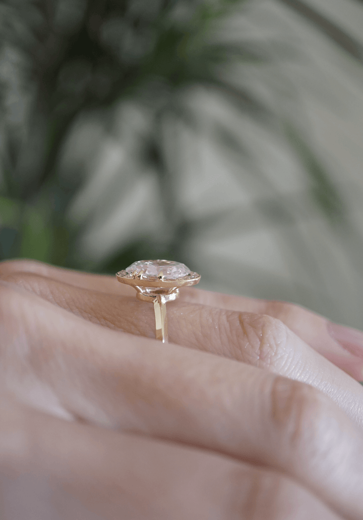 Holiday The Selene Bayou with Love 